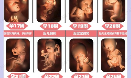 怀孕血糖高生产后能恢复正常吗-权威孕期血糖高产后还会高吗平台,分享专业孕期血糖高生产后会正常吗知识_怀孕期间血糖高生产后怕得糖尿病网