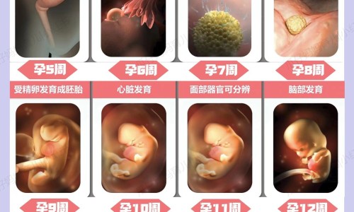 怀孕的时候血糖高生完孩子后也会这样吗-权威孕期血糖高产后还会高吗平台,分享专业孕期血糖高生产后会正常吗知识_怀孕期间血糖高生产后怕得糖尿病网